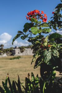 Tulum Ruins