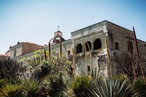 Jardin Etnobotanico, Oaxaca, Mexico