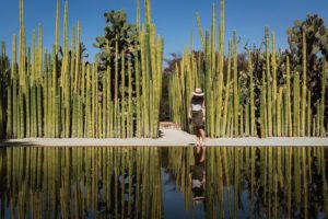 Jardin Etnobotanico, Oaxaca, Mexico