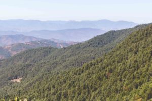 Los Pueblos Mancomunados: Hiking in Mexico