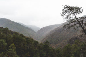 Los Pueblos Mancomunados: Latuvi to Amatlan