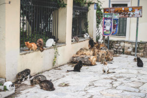 Mother-Daughter trip to Athens, Greece