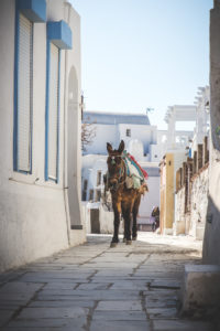 Mother-Daughter trip to Santorini, Greece