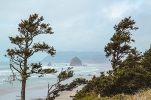 Driving along Highway 101 on the Oregon Coast