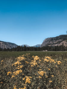 Driving the North Cascades Highway toward Mazama Washington