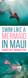 This was so incredible!! Swimming like mermaids in Maui with Hawaii Mermaid Adventures. A MUST DO!!!