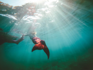 Mermaid tour in Maui