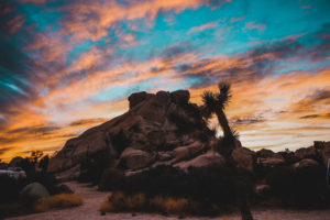 Sunset in Joshua Tree National Park