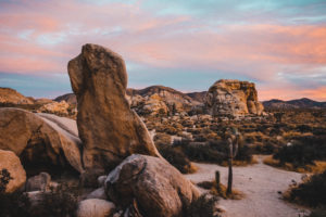 Joshua Tree National Park