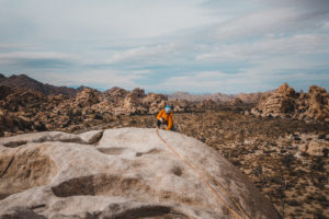 Rock climbing in Joshua Tree National Park with The Mountain Bureau LLC