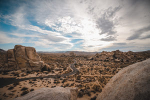 Joshua Tree Rock Climbing Retreat with The Mountain Bureau LLC