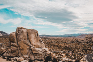 Joshua Tree Rock Climbing Retreat with The Mountain Bureau LLC