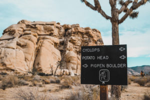 Joshua Tree Rock Climbing Retreat with The Mountain Bureau LLC