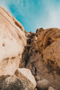 Joshua Tree Rock Climbing Retreat with The Mountain Bureau LLC