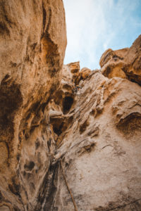 Joshua Tree Rock Climbing Retreat with The Mountain Bureau LLC