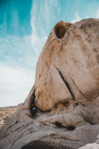 Rock climbing in Joshua Tree National Park with The Mountain Bureau LLC