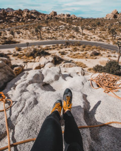 Rock climbing in Joshua Tree National Park with The Mountain Bureau LLC