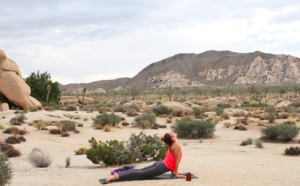 Morning yoga in Joshua Tree National Park with Motive Yoga Co.