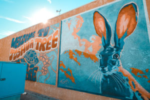 Yoga in Joshua Tree National Park -- A transformative experience!