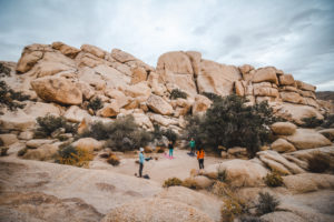 Yoga in Joshua Tree National Park -- A transformative experience!