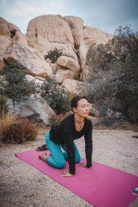 A yoga retreat in Joshua Tree National Park