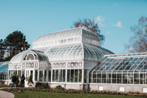 Two days in Seattle: Volunteer Park Conservatory