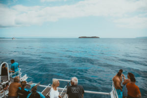 Maui Whale Watching Tour with Pride of Maui