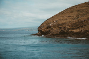 Maui Whale Watching Tour with Pride of Maui