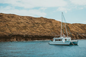 Maui Whale Watching Tour with Pride of Maui