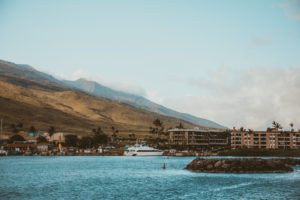 Whale Watching on the Pride of Maui