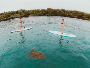 Maui SUP lessons with Maui Stand Up Paddle Boarding